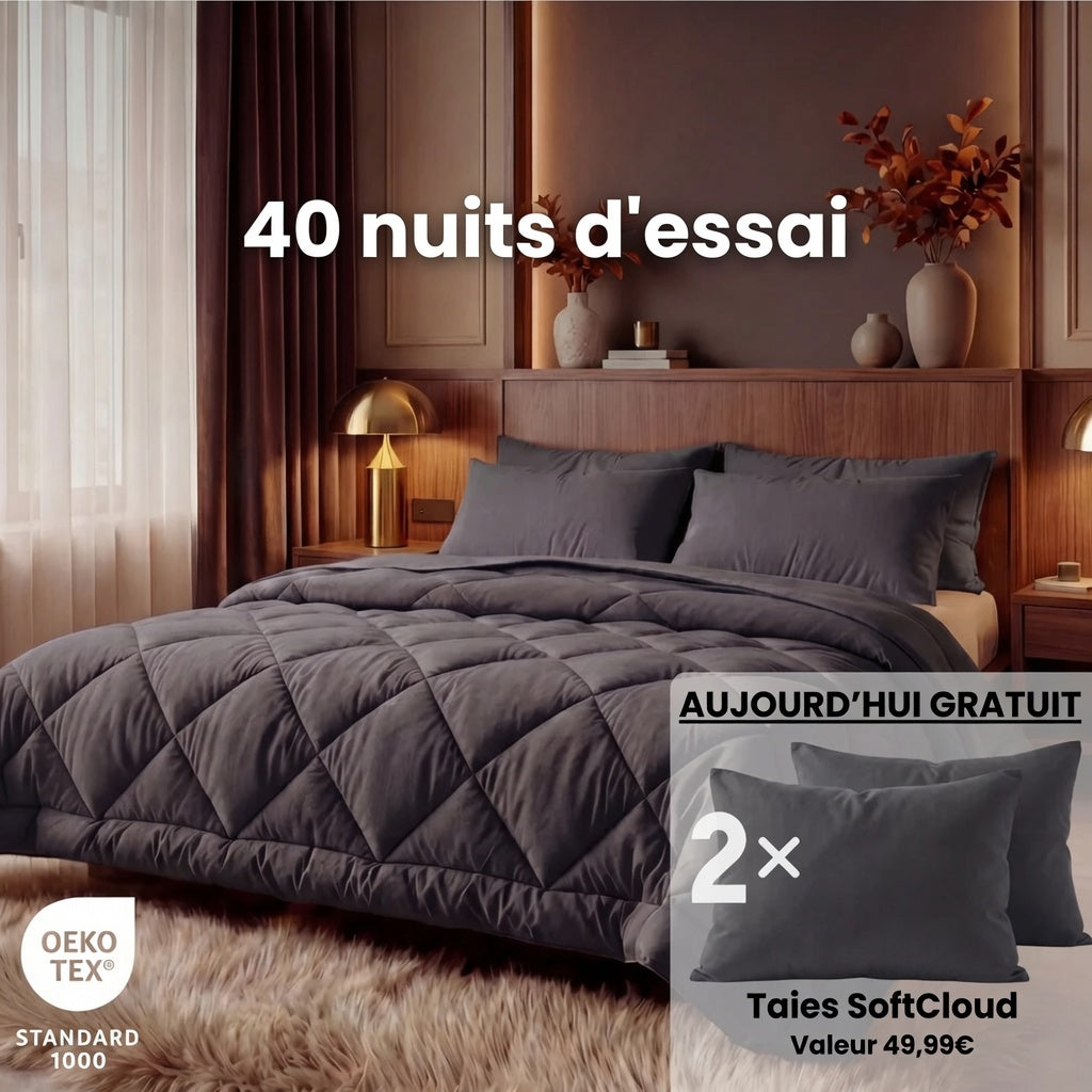 Couette EasySleep 2 en 1 qui élimine le besoin de draps
