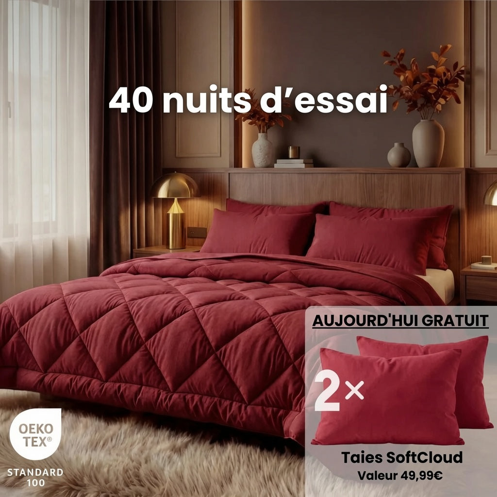 Couette EasySleep 2 en 1 qui élimine le besoin de draps