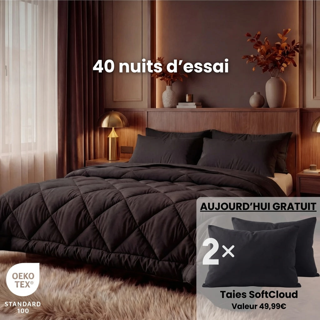 Couette EasySleep 2 en 1 qui élimine le besoin de draps