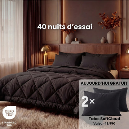 Couette EasySleep 2 en 1 qui élimine le besoin de draps